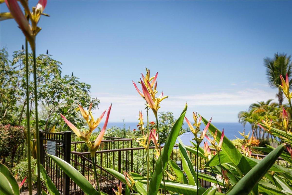 Kona Westwind 1 New! Quiet Ocean-View 1St Floor | Patio | Pool Βίλα Καϊλούα-Κόνα Εξωτερικό φωτογραφία