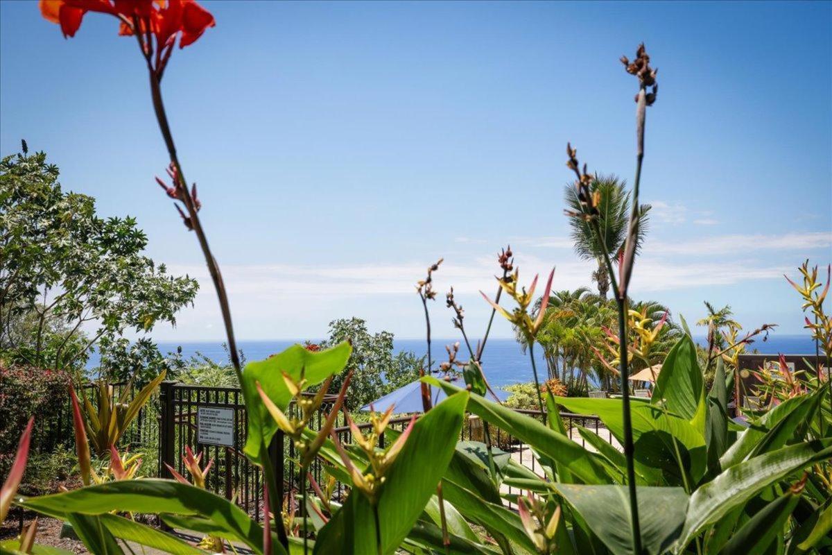 Kona Westwind 1 New! Quiet Ocean-View 1St Floor | Patio | Pool Βίλα Καϊλούα-Κόνα Εξωτερικό φωτογραφία